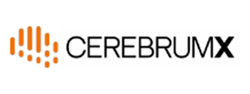 cerebrum