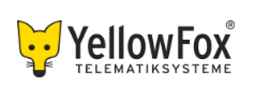 yellow fox